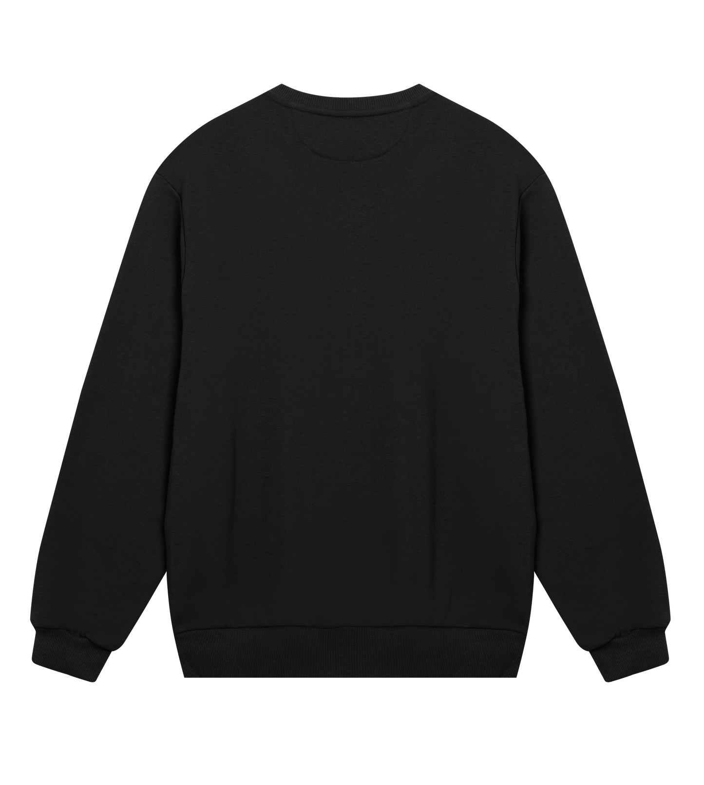 SWEATSHIRT WITH r. LOGO REGULAR FIT, MEN